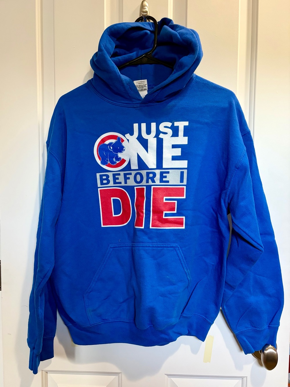 Chicago Cub 'Just One Before I Die' Hoodie
